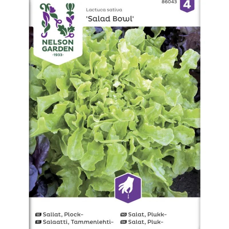 tammenlehtisalaatti-siemen-nel-RzNNgtSy-0.webp Nelson Garden Basic Kasvien Ja Nurmikonsiemenet-Tammenlehtisalaatti Siemen Salad Bowl