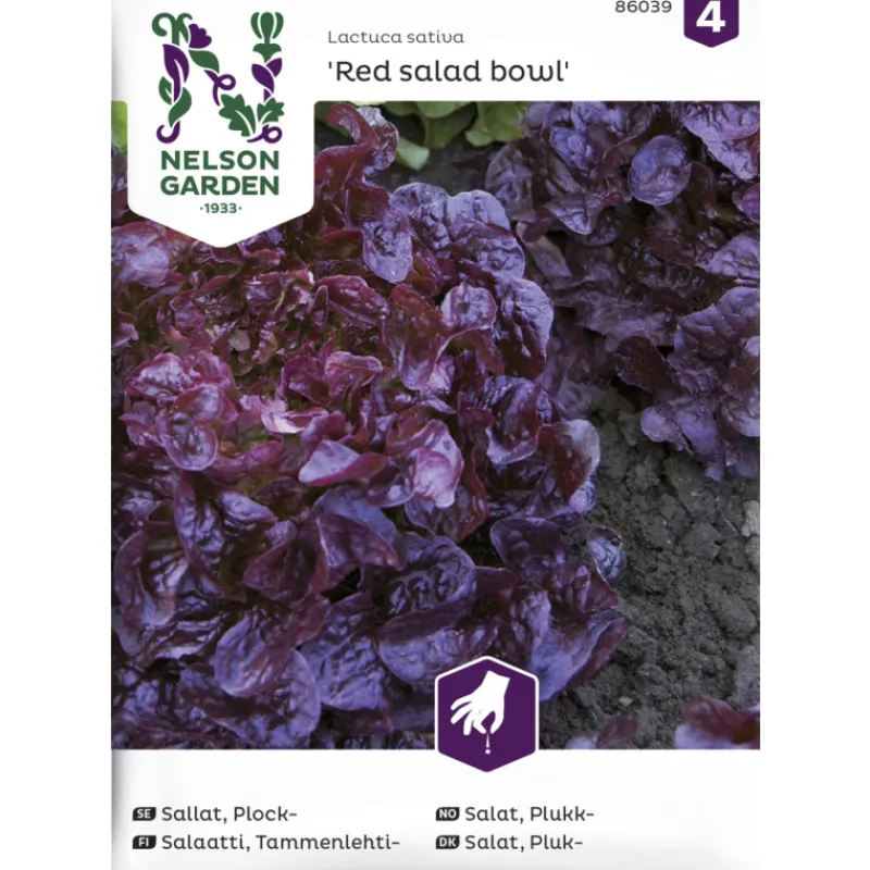 tammenlehtisalaatti-siemen-nel-dnYgFzud-0.webp Nelson Garden Basic Kasvien Ja Nurmikonsiemenet-Tammenlehtisalaatti Siemen Red Salad Bowl