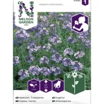 Nelson Garden Basic Kasvien Ja Nurmikonsiemenet-Tarhaillakko Siemen