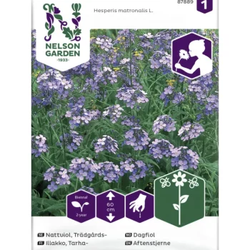 Nelson Garden Basic Kasvien Ja Nurmikonsiemenet-Tarhaillakko Siemen