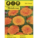 Bröderna Nelsons Kasvien Ja Nurmikonsiemenet-Tarhakehäkukka Balls Orange Siemen