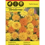 Bröderna Nelsons Kasvien Ja Nurmikonsiemenet-Tarhakehäkukka Pacific Beauty Siemen