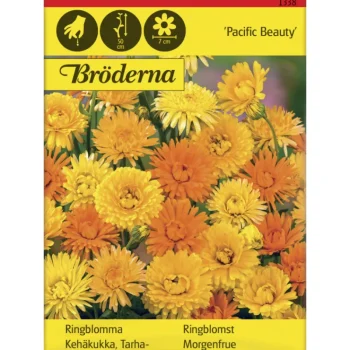 Bröderna Nelsons Kasvien Ja Nurmikonsiemenet-Tarhakehäkukka Pacific Beauty Siemen