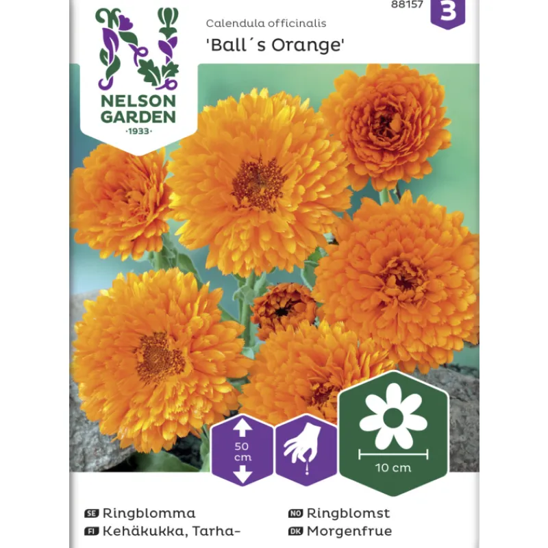 tarhakehkukka-siemen-nelson-ga-gNqTJaYN-0.webp Nelson Garden Basic Kasvien Ja Nurmikonsiemenet-Tarhakehäkukka Siemen Balls Orange