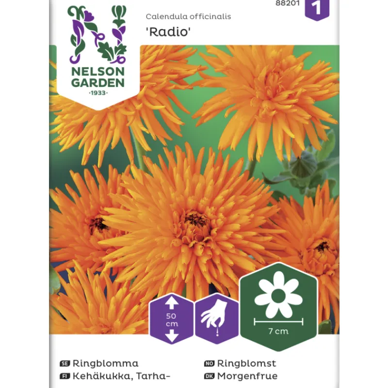 tarhakehkukka-siemen-nelson-ga-ickXDONk-0.webp Nelson Garden Basic Kasvien Ja Nurmikonsiemenet-Tarhakehäkukka Siemen Radio