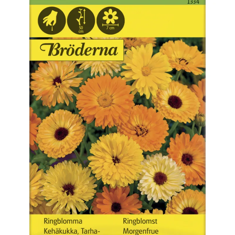 tarhakehkukka-vriseos-siemen-b-PEgOOJbu-0.webp Bröderna Nelsons Kasvien Ja Nurmikonsiemenet-Tarhakehäkukka Väriseos Siemen