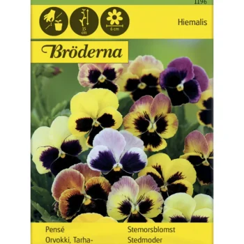 Bröderna Nelsons Kasvien Ja Nurmikonsiemenet-Tarhaorvokki Hiemalis Väriseos Siemen