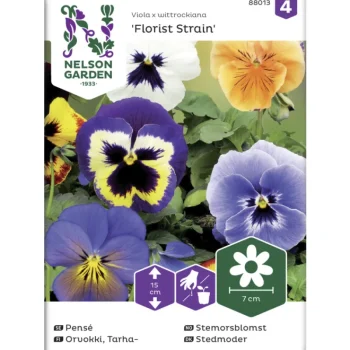 Nelson Garden Basic Kasvien Ja Nurmikonsiemenet-Tarhaorvokki Siemen Florist Strain Jättiläinen