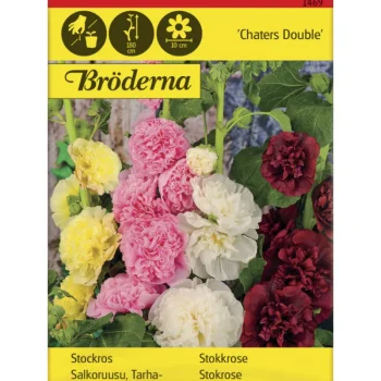 Bröderna Nelsons Kasvien Ja Nurmikonsiemenet-Tarhasalkoruusu Charter's Double Siemen