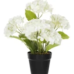 terassihortensia-kotikulta-42-pUpXtenB-0.webp