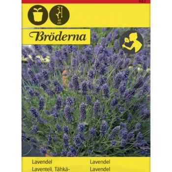 Bröderna Nelsons Kasvien Ja Nurmikonsiemenet-Tähkälaventeli Siemen