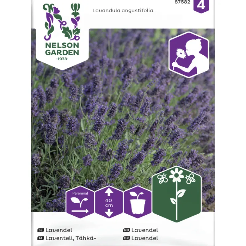 thklaventeli-siemen-nelson-gar-QdrTHeYO-0.webp Nelson Garden Basic Kasvien Ja Nurmikonsiemenet-Tähkälaventeli Siemen