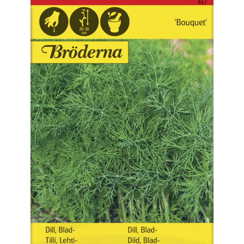 tilli-bouquet-siemen-brderna-n-oYfyWHby-0.webp Bröderna Nelsons Kasvien Ja Nurmikonsiemenet-Tilli Bouquet Siemen