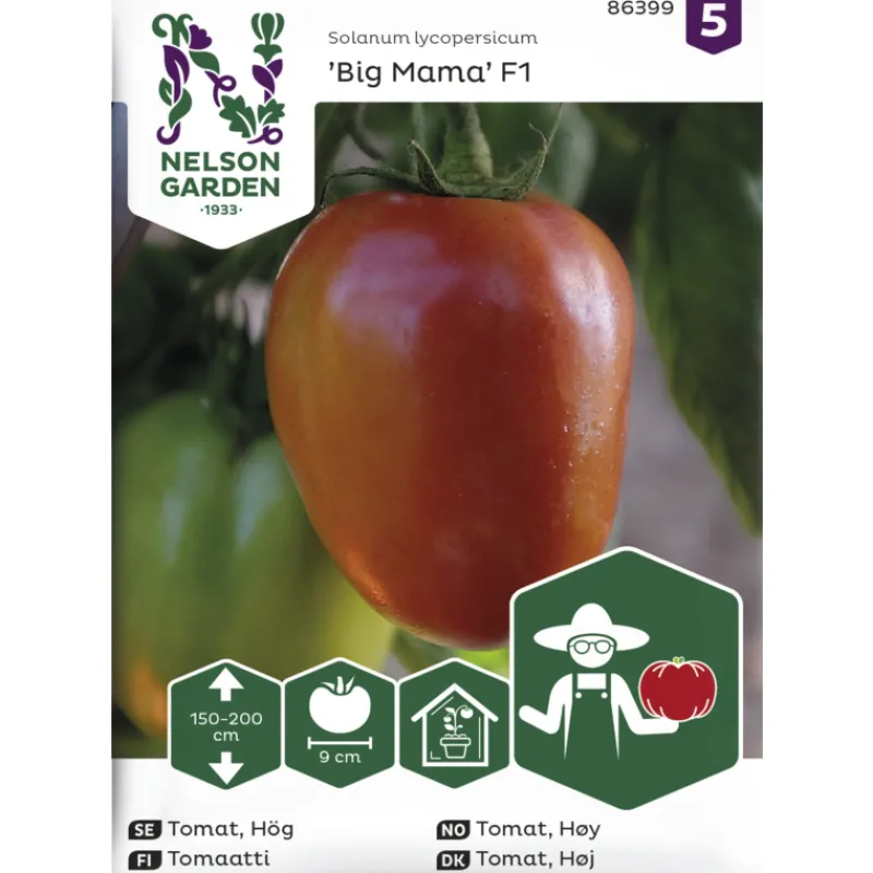 tomaatti-siemen-nelson-garden-JRqLBGGM-0.webp Nelson Garden Basic Kasvien Ja Nurmikonsiemenet-Tomaatti Siemen Big Mama F1