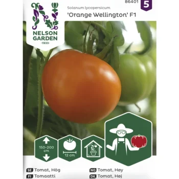 Nelson Garden Basic Kasvien Ja Nurmikonsiemenet-Tomaatti Siemen Orange Wellington F1