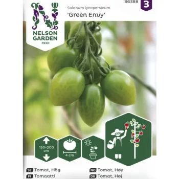 Nelson Garden Basic Kasvien Ja Nurmikonsiemenet-Tomaatti Siemen Green Envy