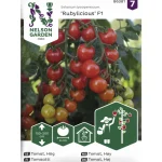 tomaatti-siemen-nelson-garden-gVINYqGA-0.webp
