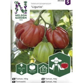 Nelson Garden Basic Kasvien Ja Nurmikonsiemenet-Tomaatti Siemen Liguria