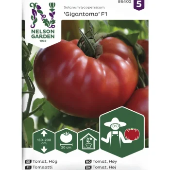 Nelson Garden Basic Kasvien Ja Nurmikonsiemenet-Tomaatti Siemen Gigantomo F1