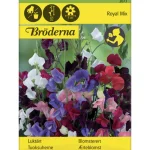 Bröderna Nelsons Kasvien Ja Nurmikonsiemenet-Tuoksuherne Royal Mix Siemen