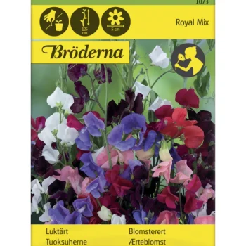 Bröderna Nelsons Kasvien Ja Nurmikonsiemenet-Tuoksuherne Royal Mix Siemen