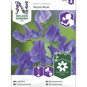 Nelson Garden Basic Kasvien Ja Nurmikonsiemenet-Tuoksuherne Siemen Royal Blue