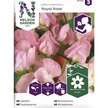 Nelson Garden Basic Kasvien Ja Nurmikonsiemenet-Tuoksuherne Siemen Royal Rose
