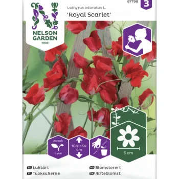 Nelson Garden Basic Kasvien Ja Nurmikonsiemenet-Tuoksuherne Siemen Royal Scarlet