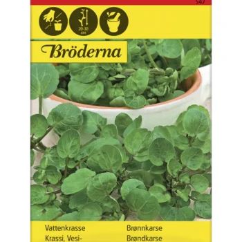 Bröderna Nelsons Kasvien Ja Nurmikonsiemenet-Vesikrassi Siemen