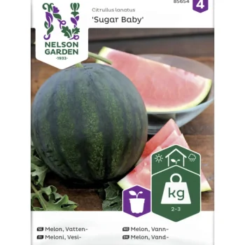 Nelson Garden Basic Kasvien Ja Nurmikonsiemenet-Vesimeloni Siemen Sugar Baby