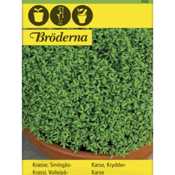 Bröderna Nelsons Kasvien Ja Nurmikonsiemenet-Voileipäkrassi Siemen